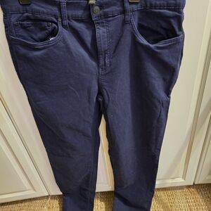 Banana Republic Navy Chinos
